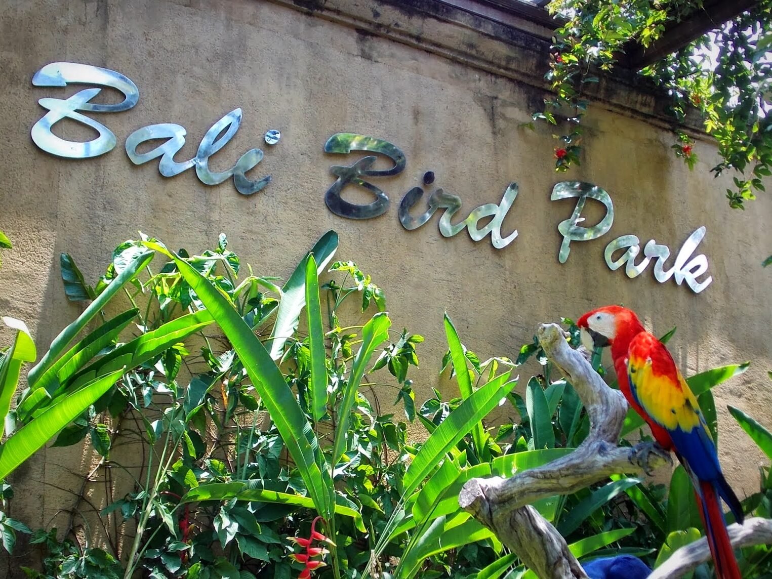 Bali Bird Park edited