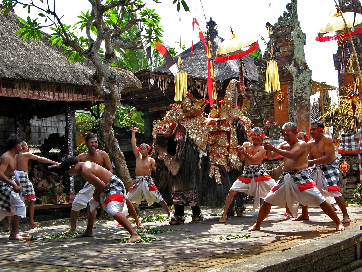 Barong perfomance
