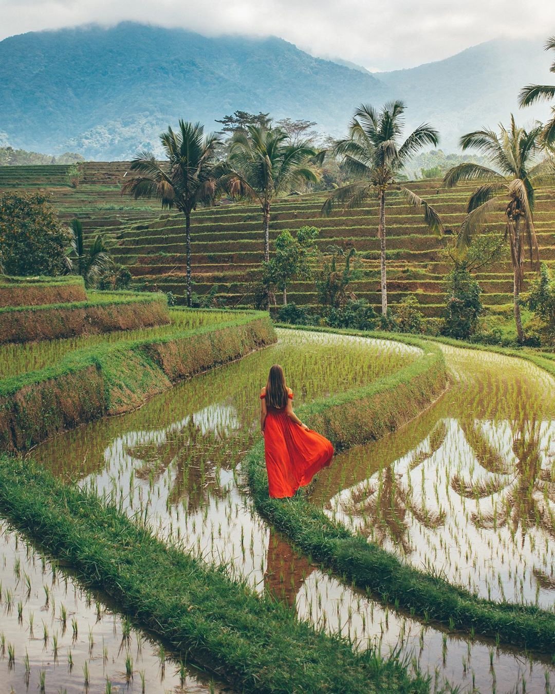 instagrammable tegallalang rice terrace