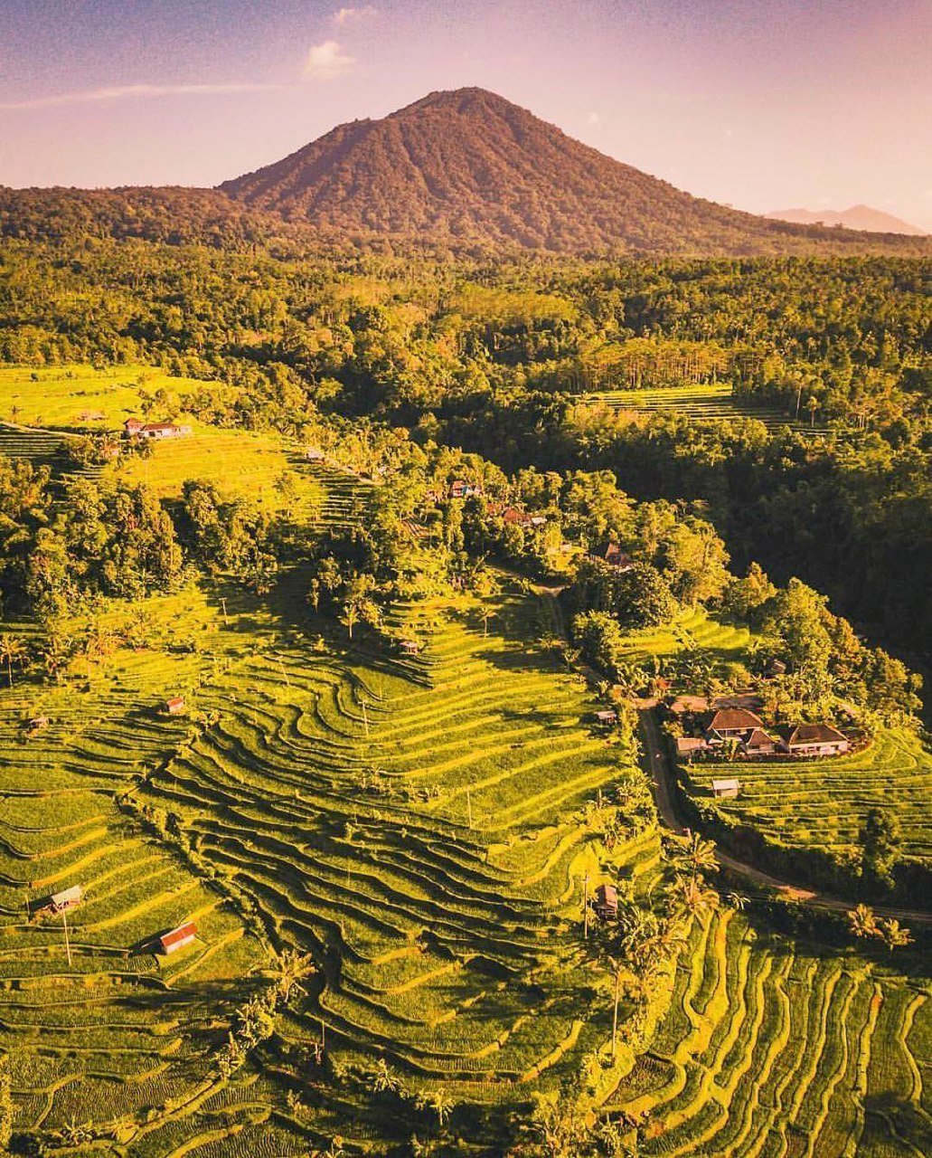 jatiluwih panorama with sunset