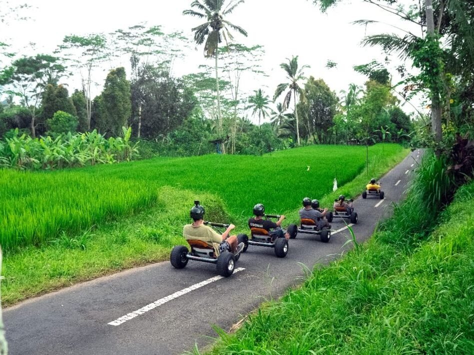 jungle car bali edited
