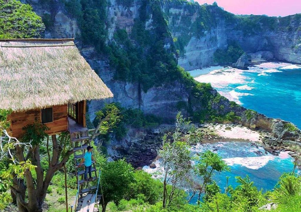 molenteng tree house