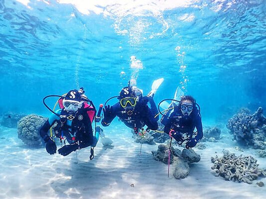 start scuba diving edited
