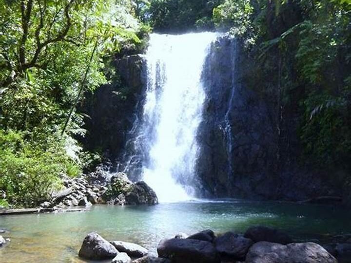 A tranquil single-stream waterfall cascading into a natural pool surrounded by trees at Tibumana Ubud.