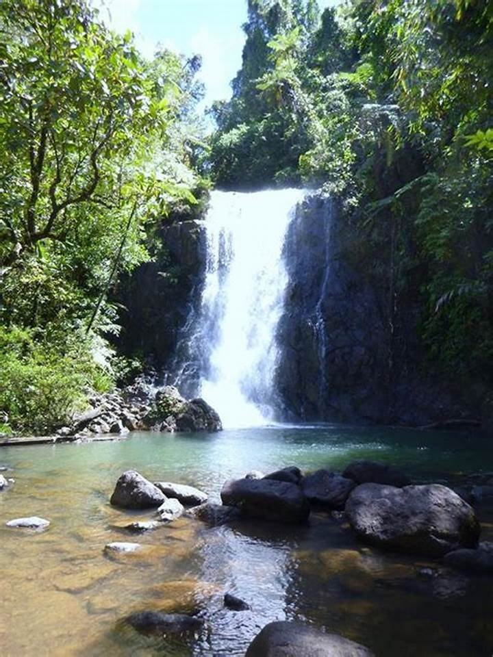 A tranquil single-stream waterfall cascading into a natural pool surrounded by trees at Tibumana Ubud.