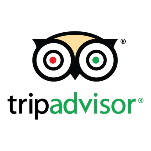 tripadvisor logo png seeklogo 222085 removebg preview